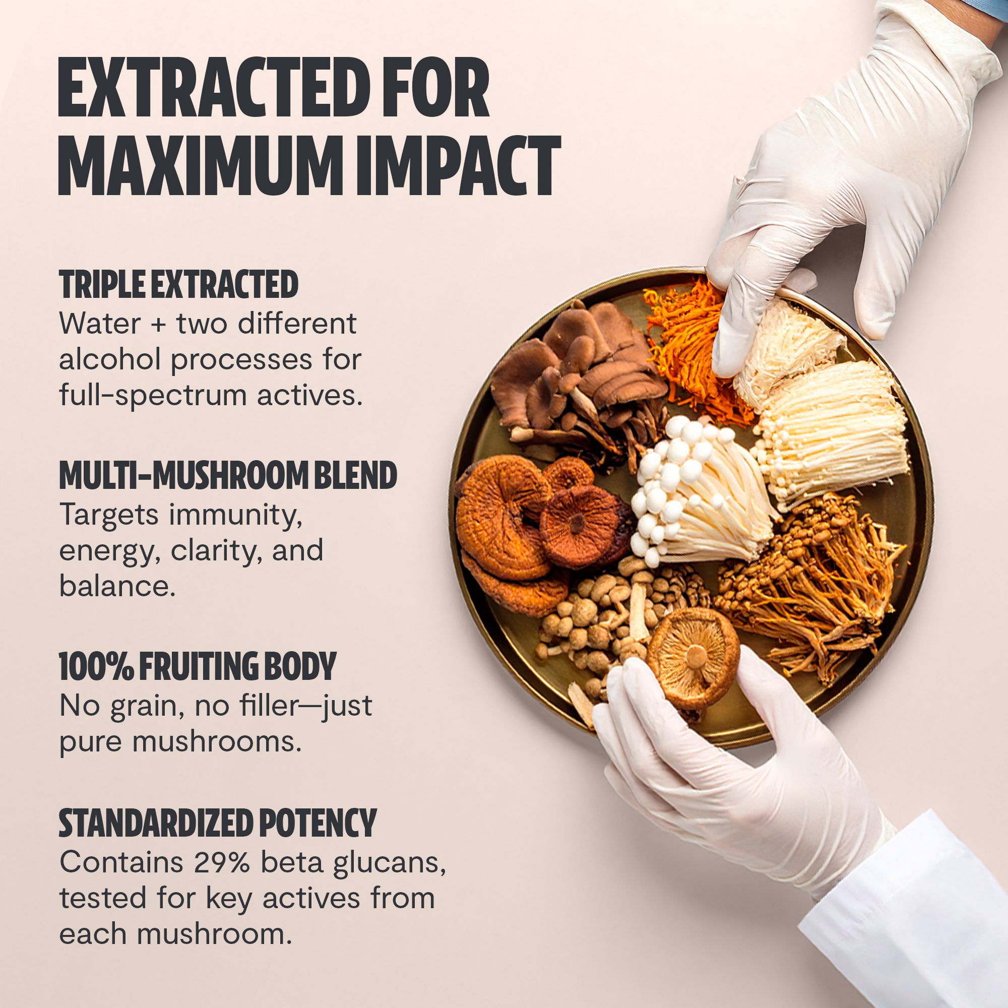 Organic Mushroom Complex Supplement Capsules