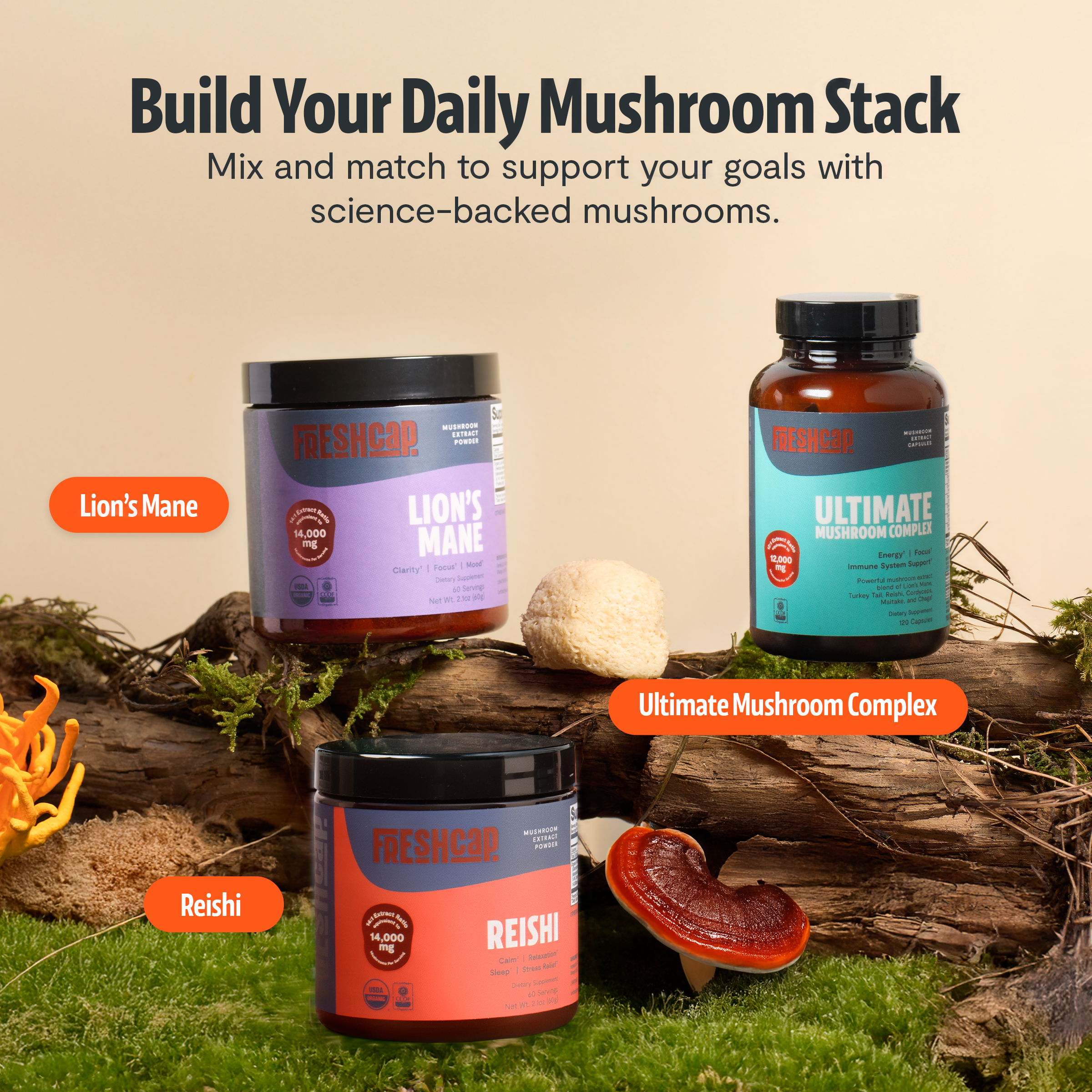 Organic Mushroom Complex Supplement Capsules